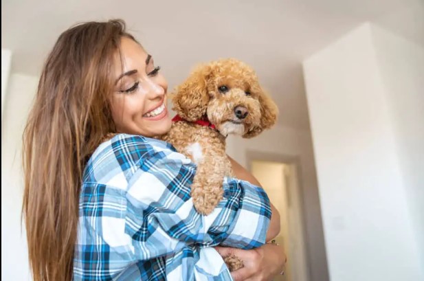 Top 10 dog breeds make cutest puppies