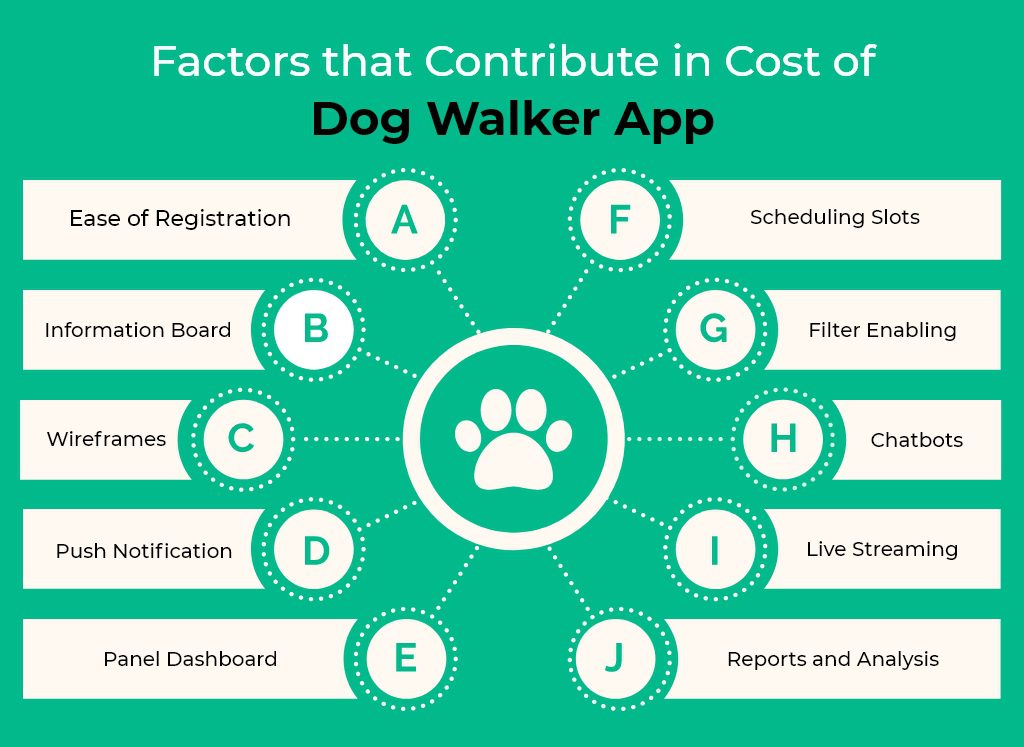 Dog Walkers Near Me Price Comparison and Quality of Service