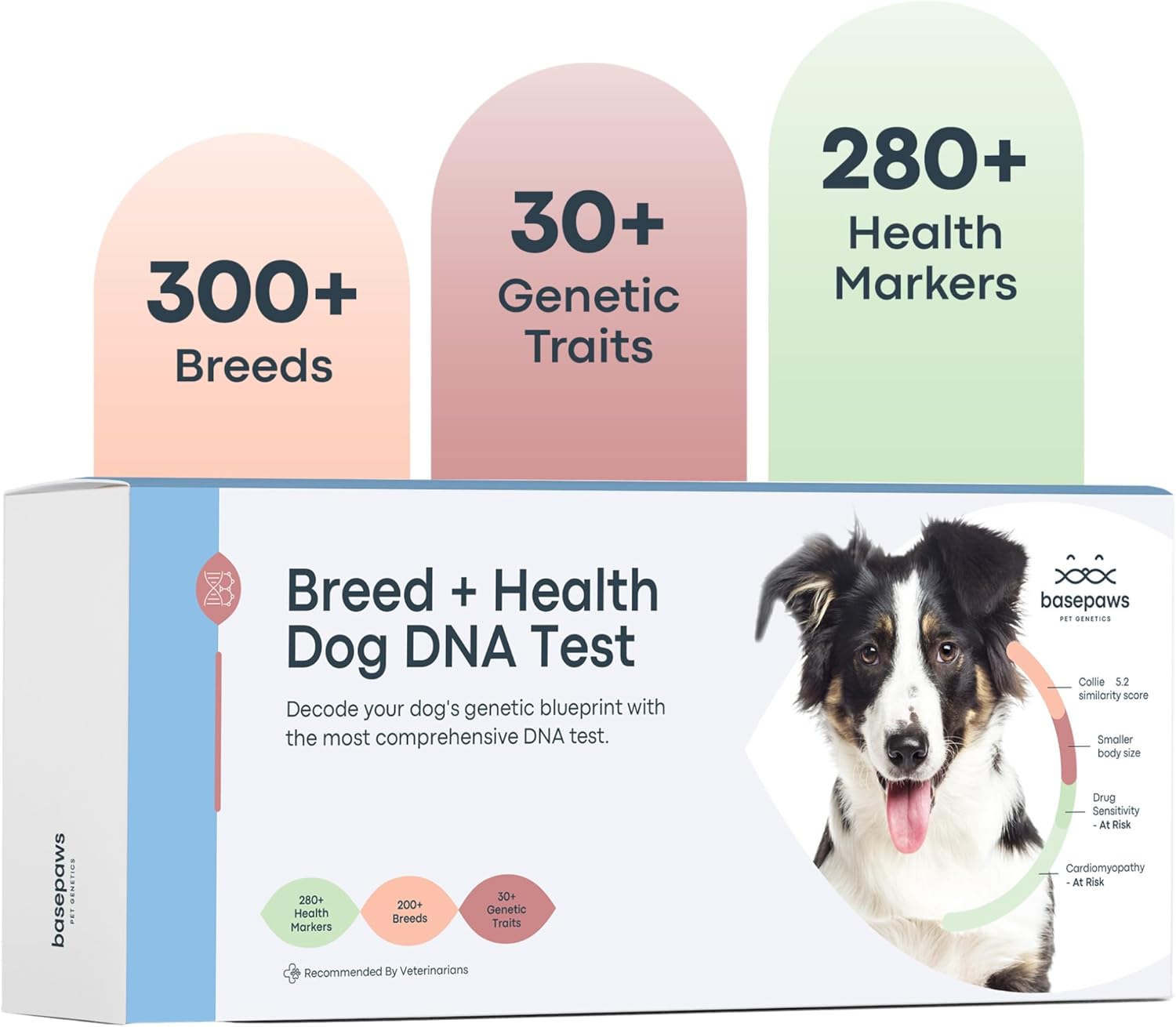 Embark Dog DNA Test: Look at Canine Health and Heritage