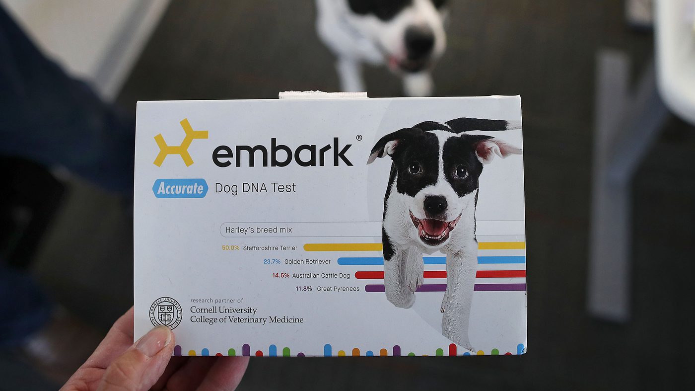Embark Dog DNA Test: Look at Canine Health and Heritage