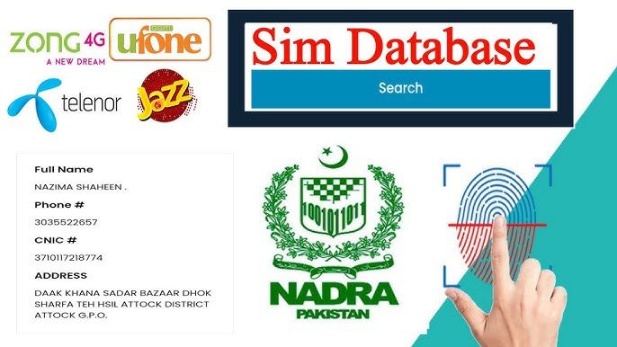 Number Finder Sim Database Live Tracker