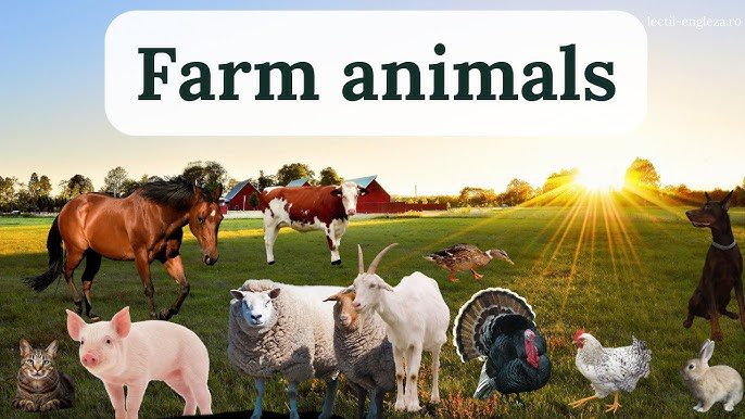 Top 10 Best Farm Animals