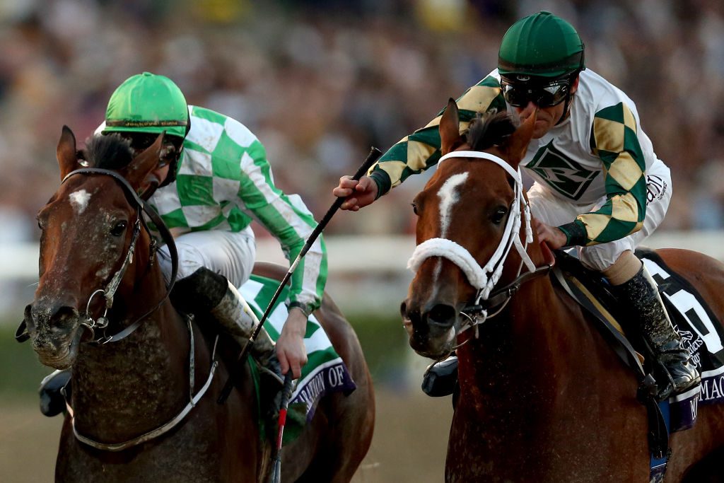 Top 10 Best Filly Racehorses In The World