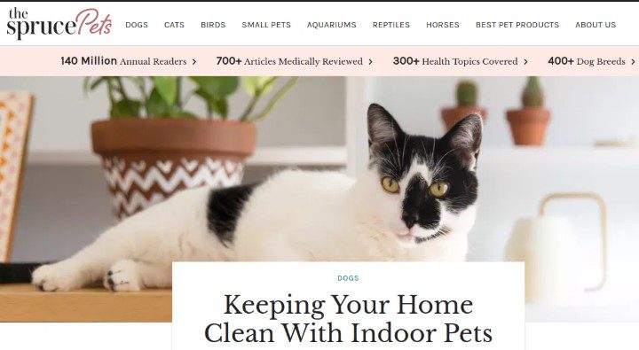 Top 10 Places to Buy Pets