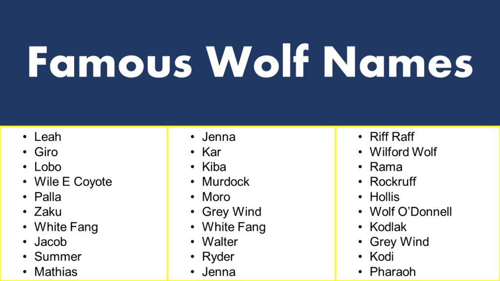 Top 10 Unique Names For Wolf