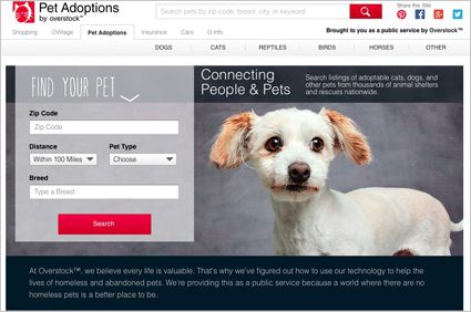 Top 10 Places Buy Pets